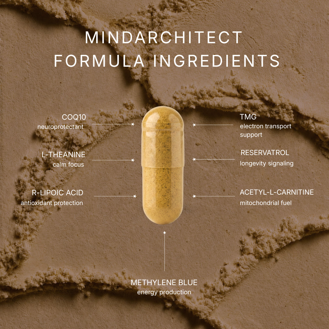 A single capsule labelled with its six components: CoQ10, L-theanine, R-lipoic acid, TMG, resveratrol, acetyl-L-carnitine and methylene blue.