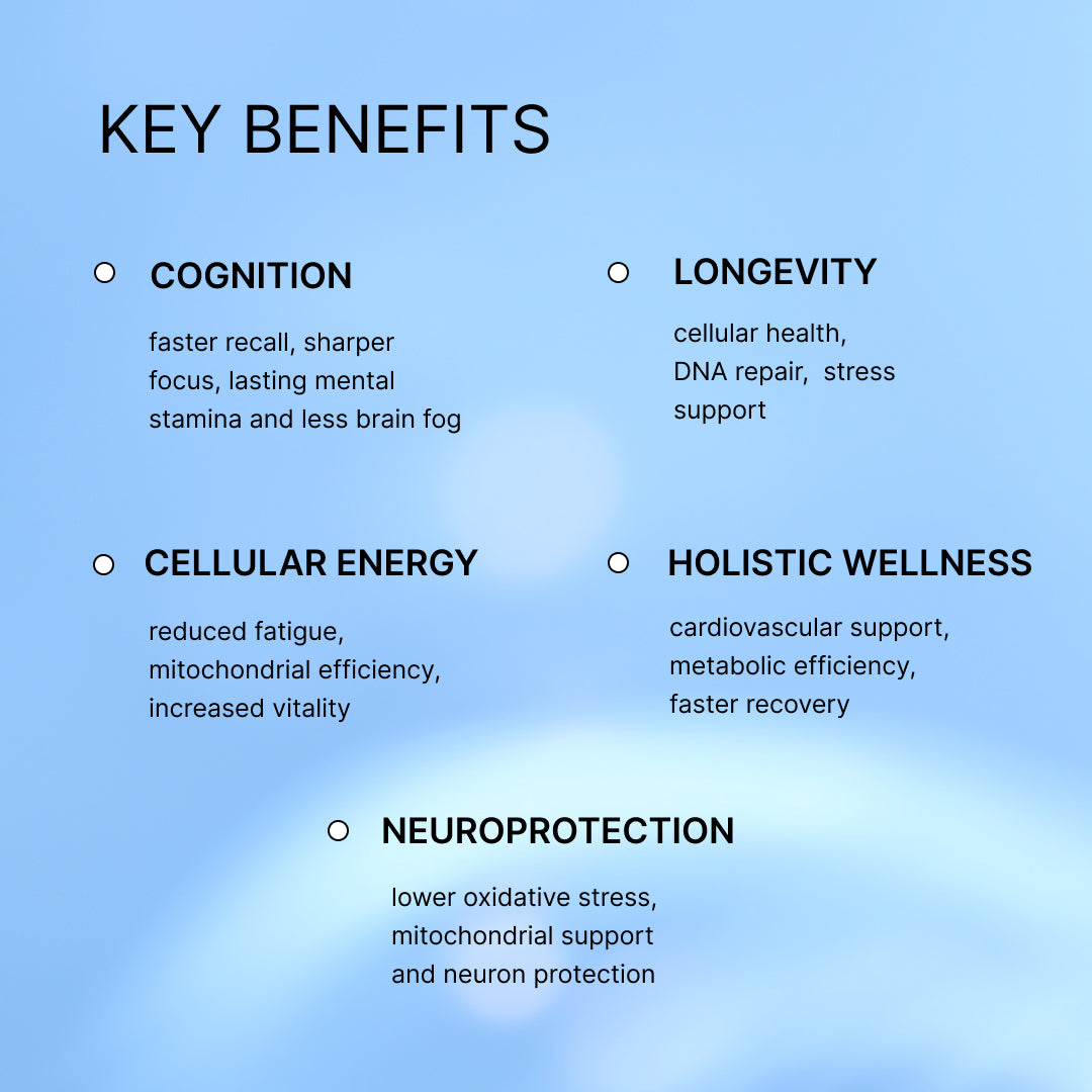 Key benefits across five areas: cognition, longevity, cellular energy, holistic wellness, and neuroprotection.