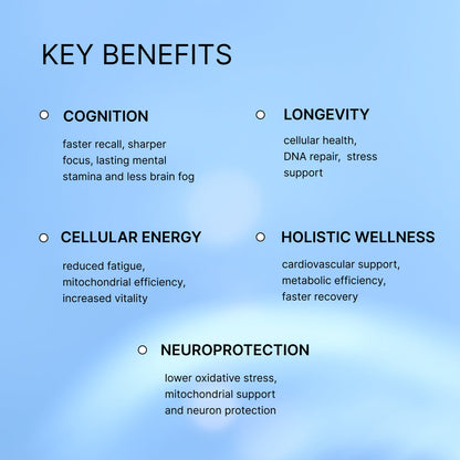 Key benefits across five areas: cognition, longevity, cellular energy, holistic wellness, and neuroprotection.