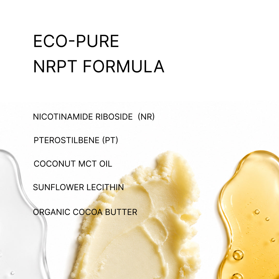 Eco-Pure NRPT formula: Nicotinamide Riboside, Pterostilbene, coconut MCT oil, sunflower lecithin and organic cocoa butter, shown as three ingredient swatches.